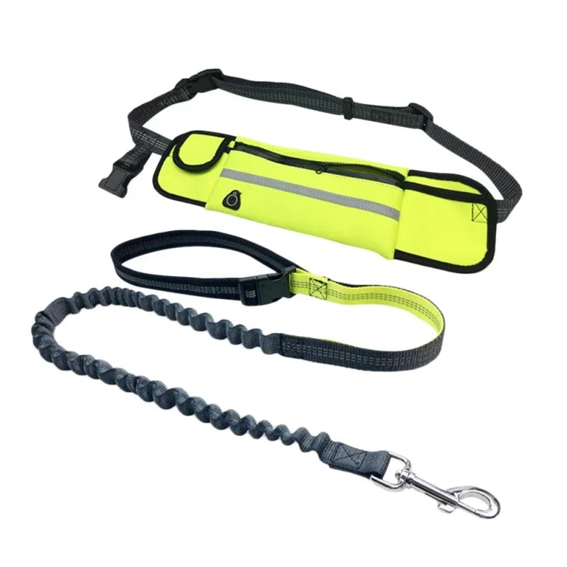Hands Free Dog Leash with Zipper Pouch Reflective Bungee
