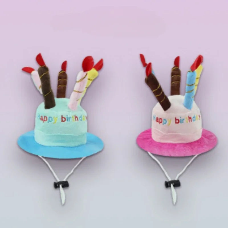Celebrate Your Pet Birthday Cake Hat
