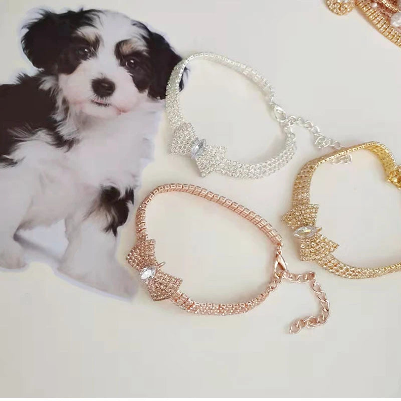 Pet Bling! Fashion Collar