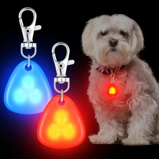 LED Light Pet Pendant