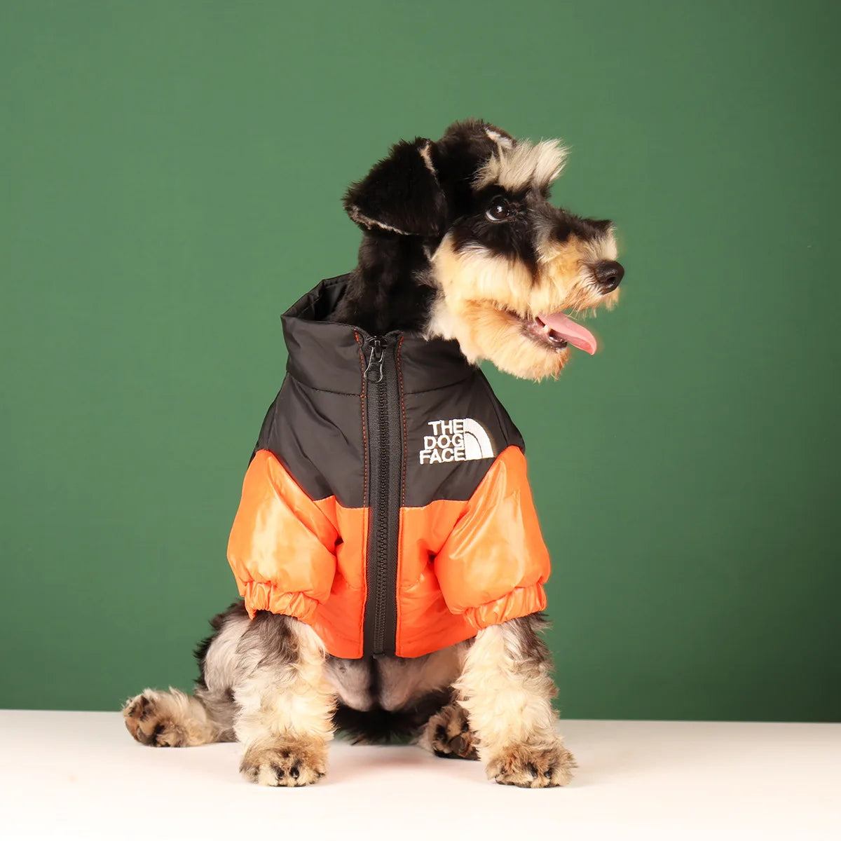 Warm Winter Windproof Pet Jacket