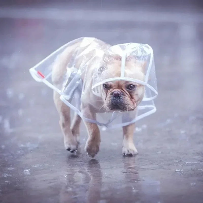 Hooded Pet Plastic Raincoat