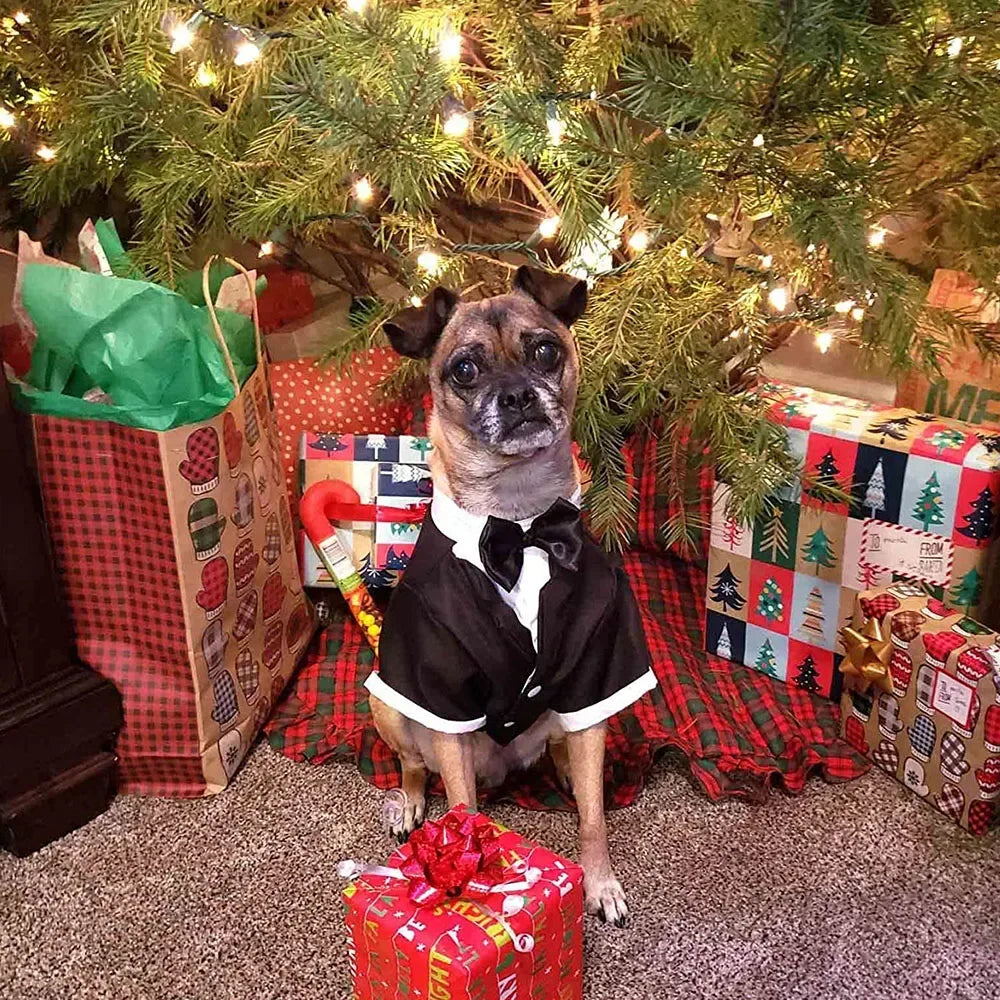 Dog Tuxedo Shirt