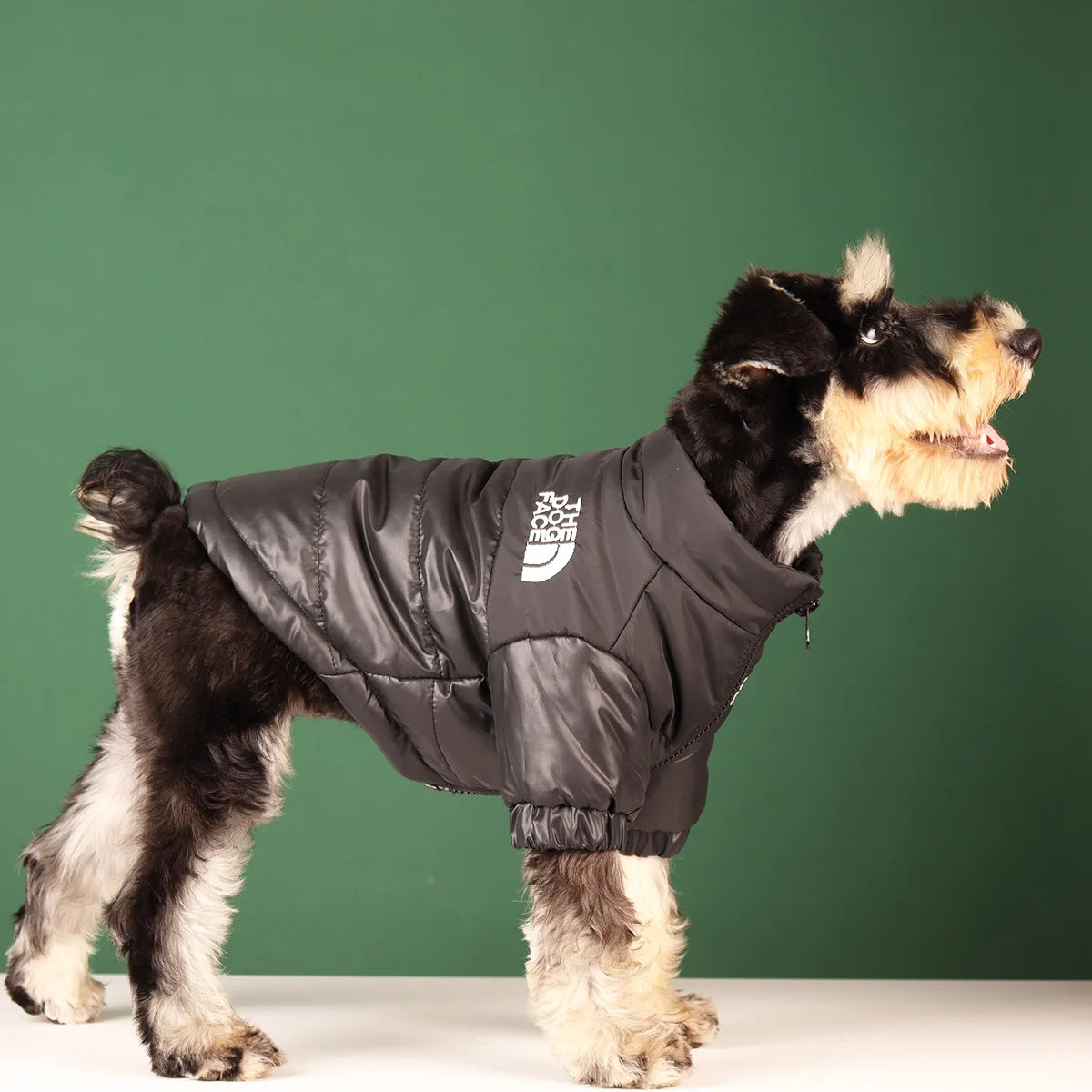 Warm Winter Windproof Pet Jacket