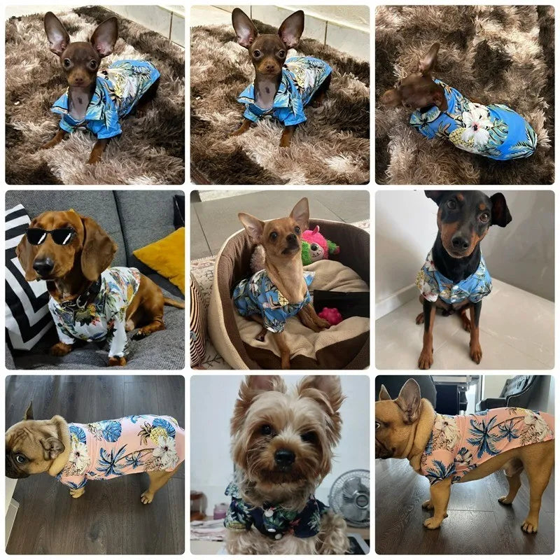 Life's A Beach Pet Shirt