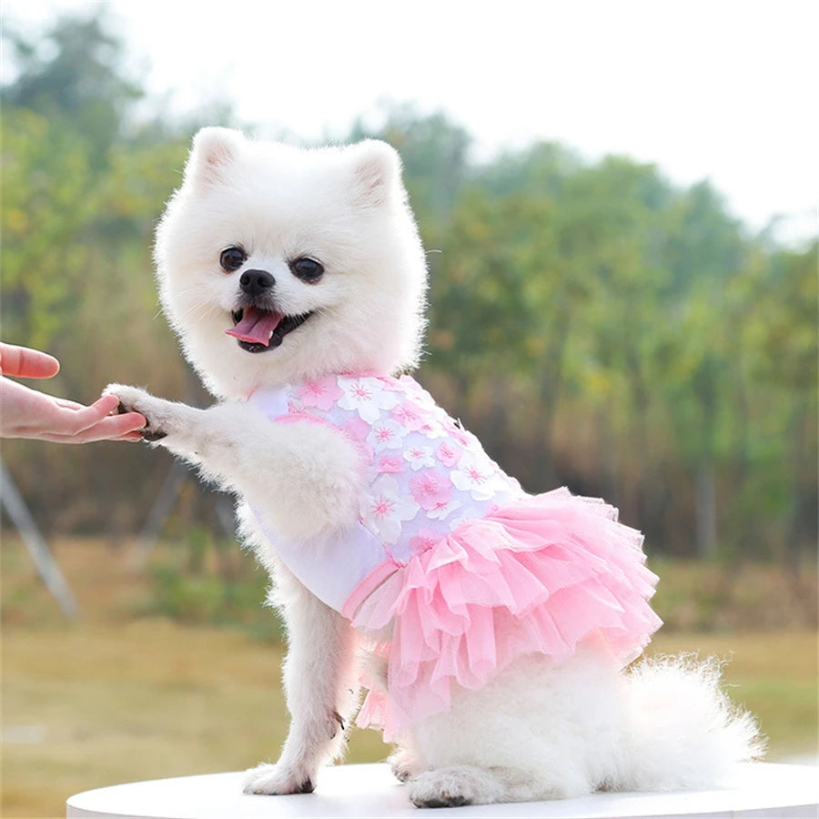 Fashionista Floral Dog Dress for Small Breeds