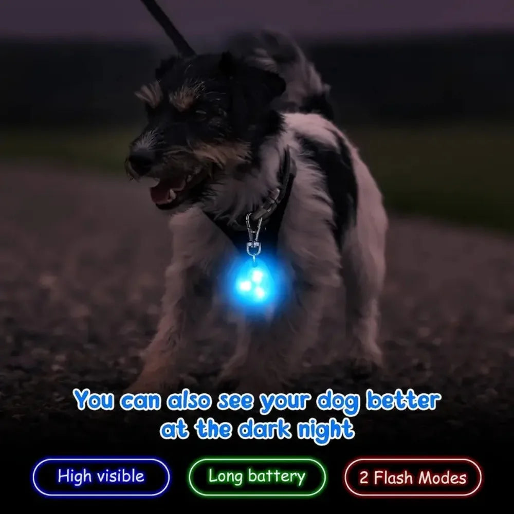 LED Light Pet Pendant