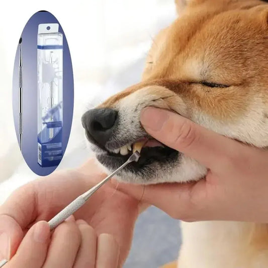 Dog Tooth Cleaning Tool Removes Tartar