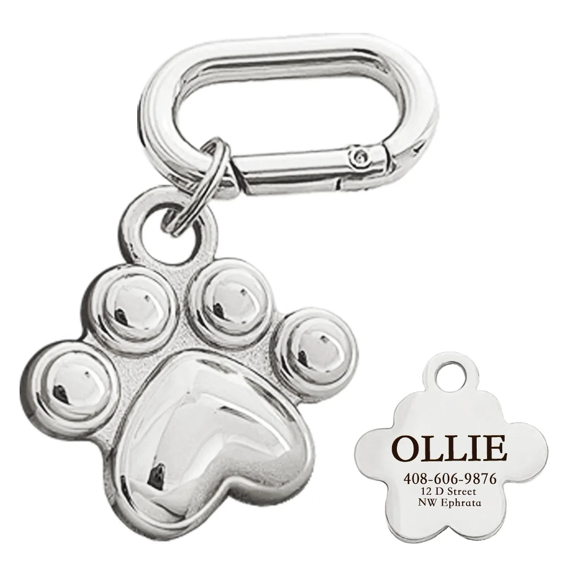 Memopaw Personalized Pet Name Tag