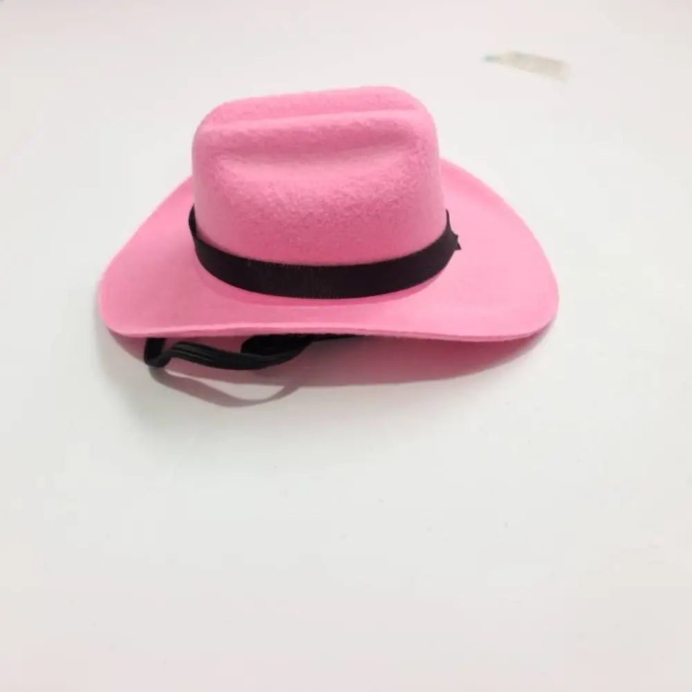 Stylish Pet Cowboy Hat