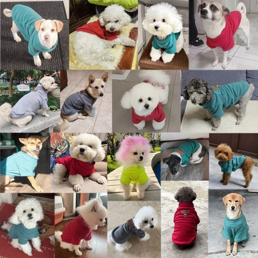 Cute Pet Hoodie With Harness
