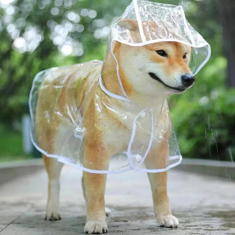 Pet Hooded Clear Raincoat
