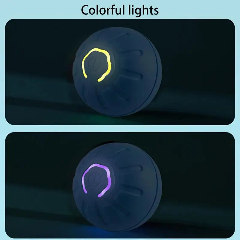 Entertaining Interactive Dog Toy