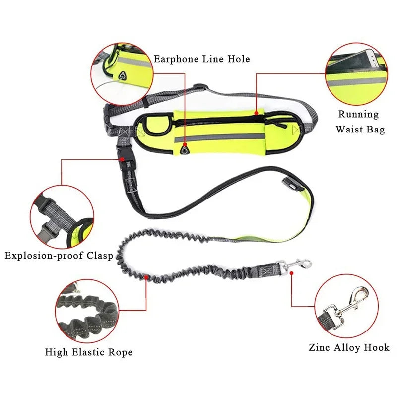 Hands Free Dog Leash with Zipper Pouch Reflective Bungee