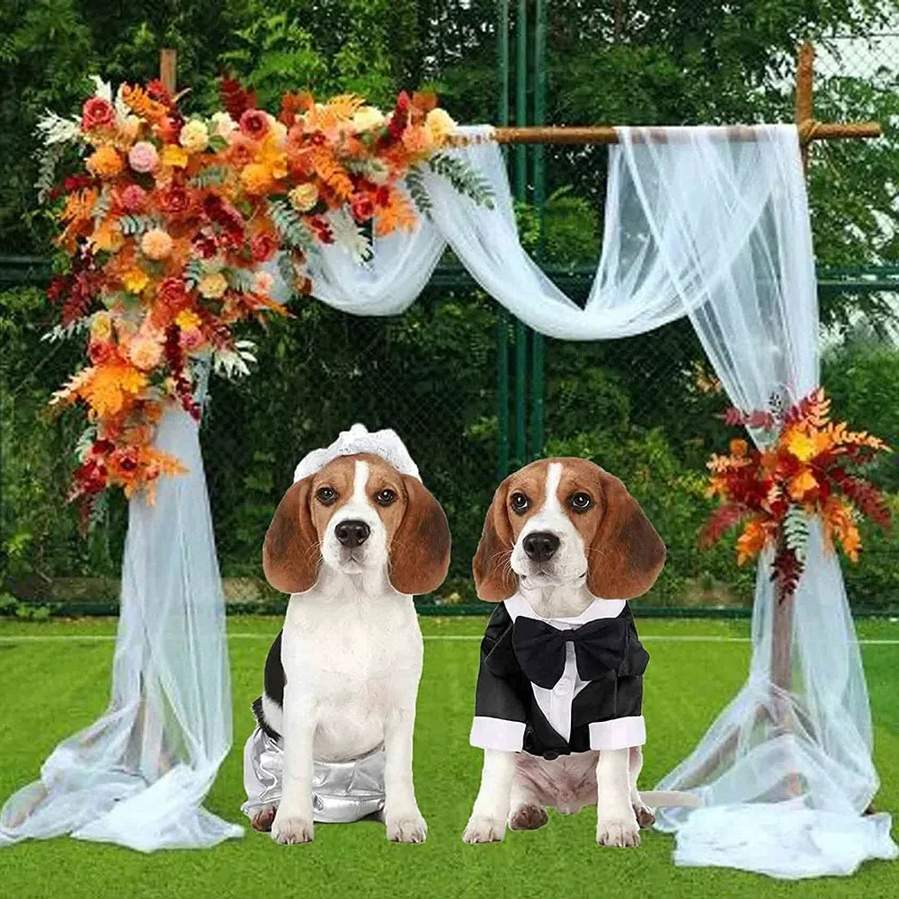 Dog Tuxedo Shirt