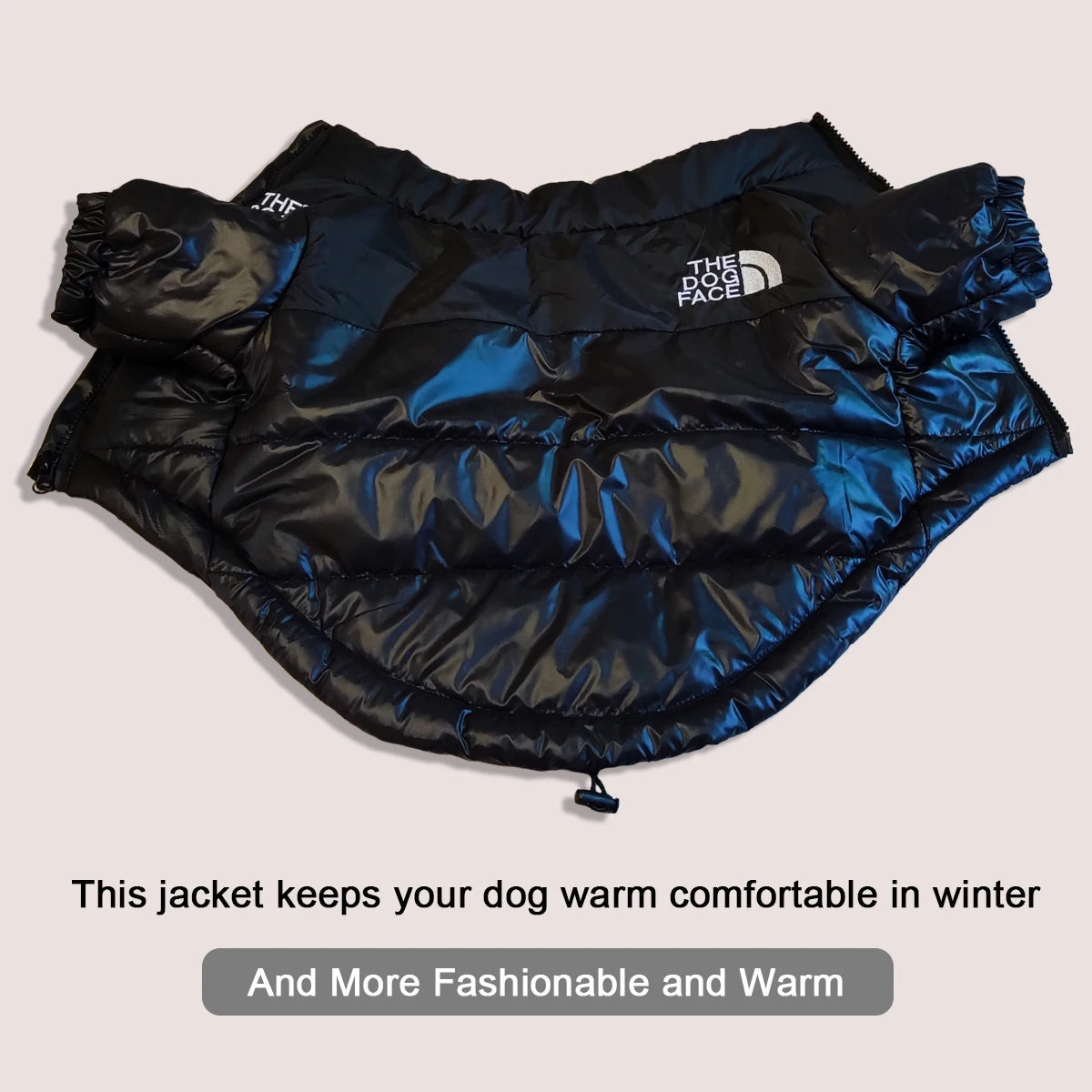 Warm Winter Windproof Pet Jacket