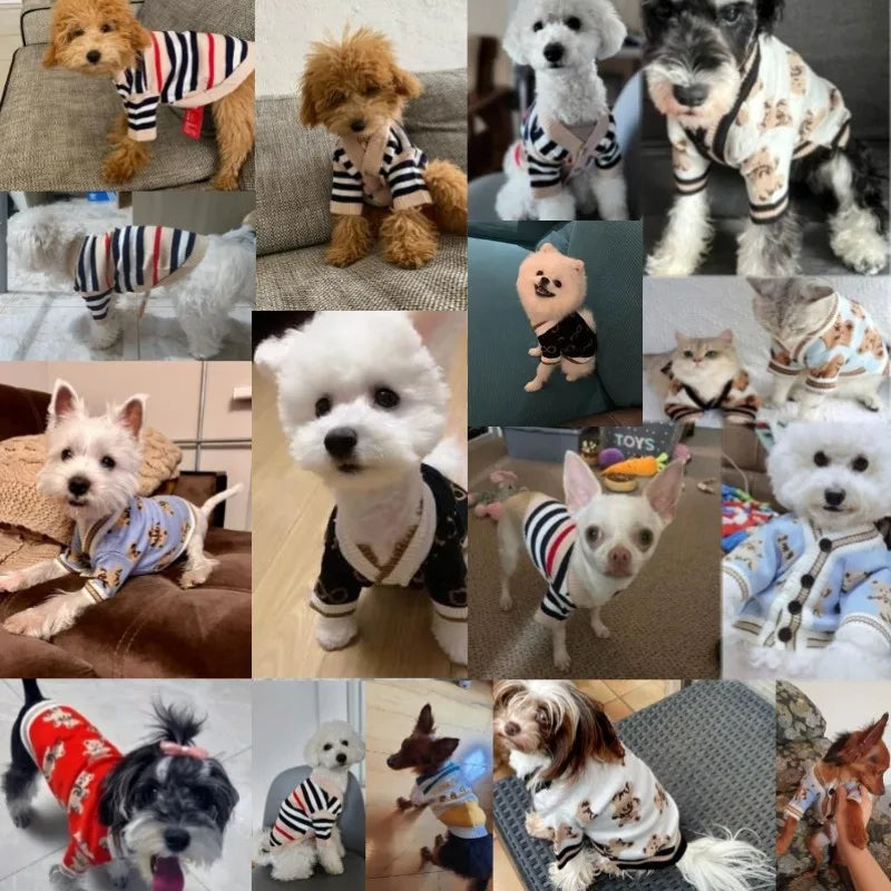 Pet Fashion Forward Knitted Cardigan Sweater