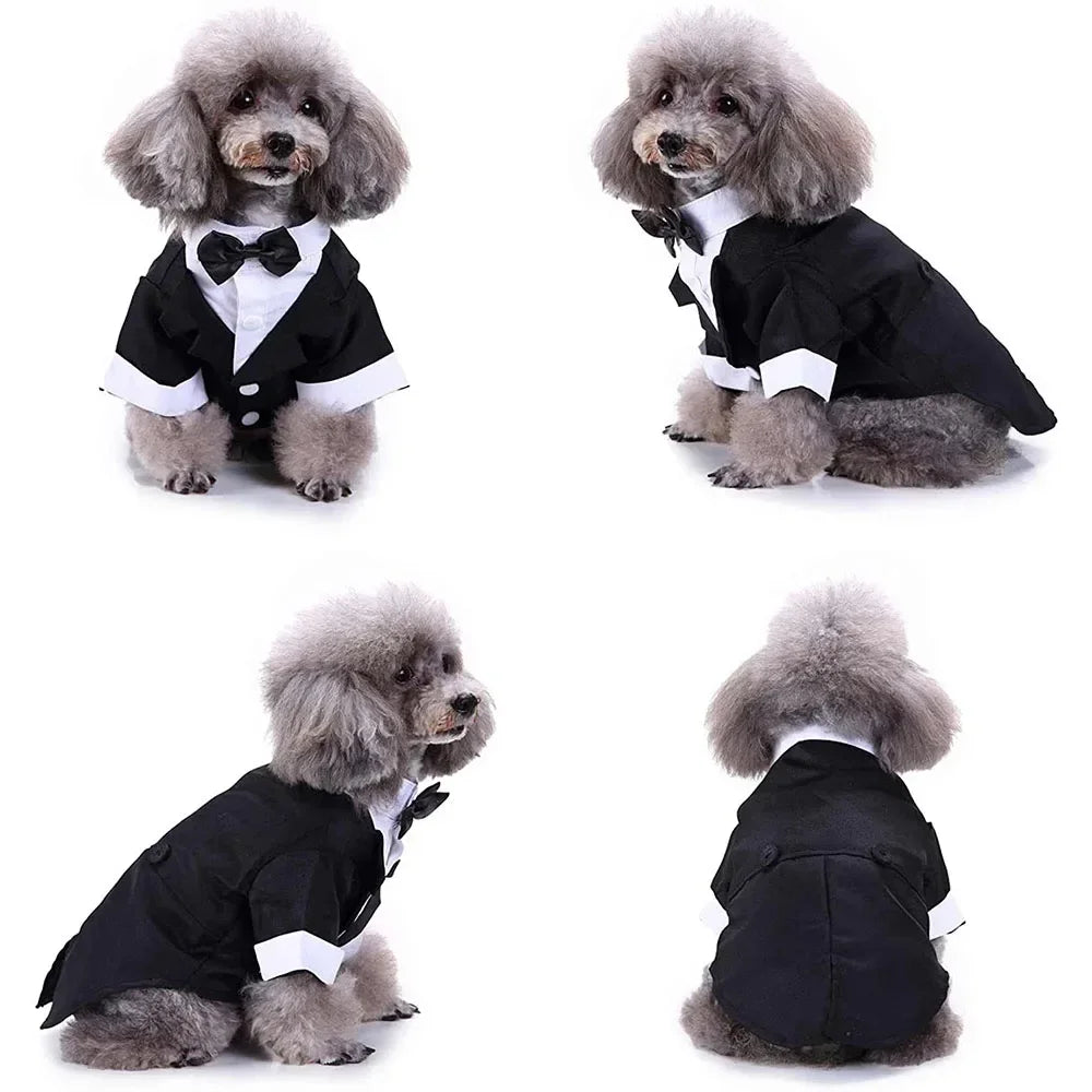 Dog Tuxedo Shirt