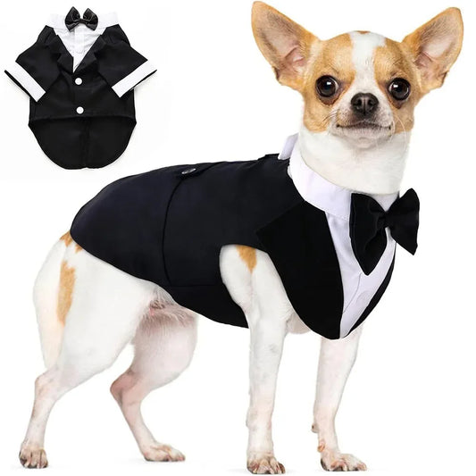 Dog Tuxedo Shirt