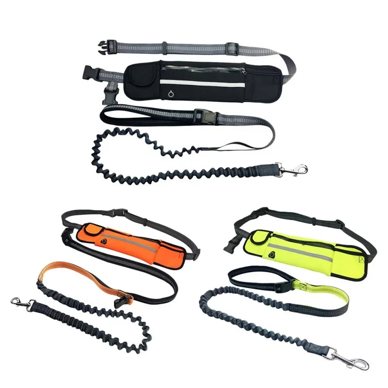 Hands Free Dog Leash with Zipper Pouch Reflective Bungee