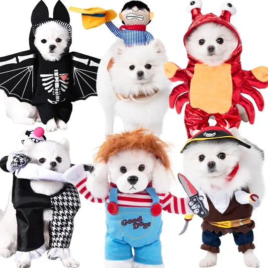 Pet Costume (Halloween)