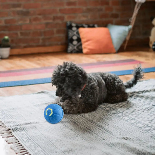 Entertaining Interactive Dog Toy