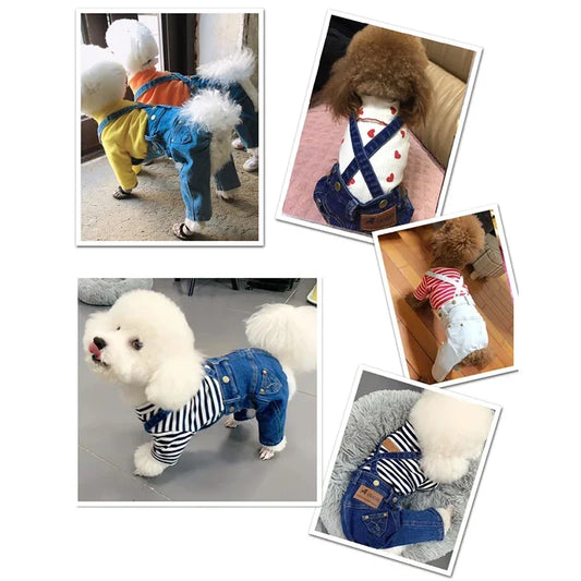 Denim Pet Jumpsuit