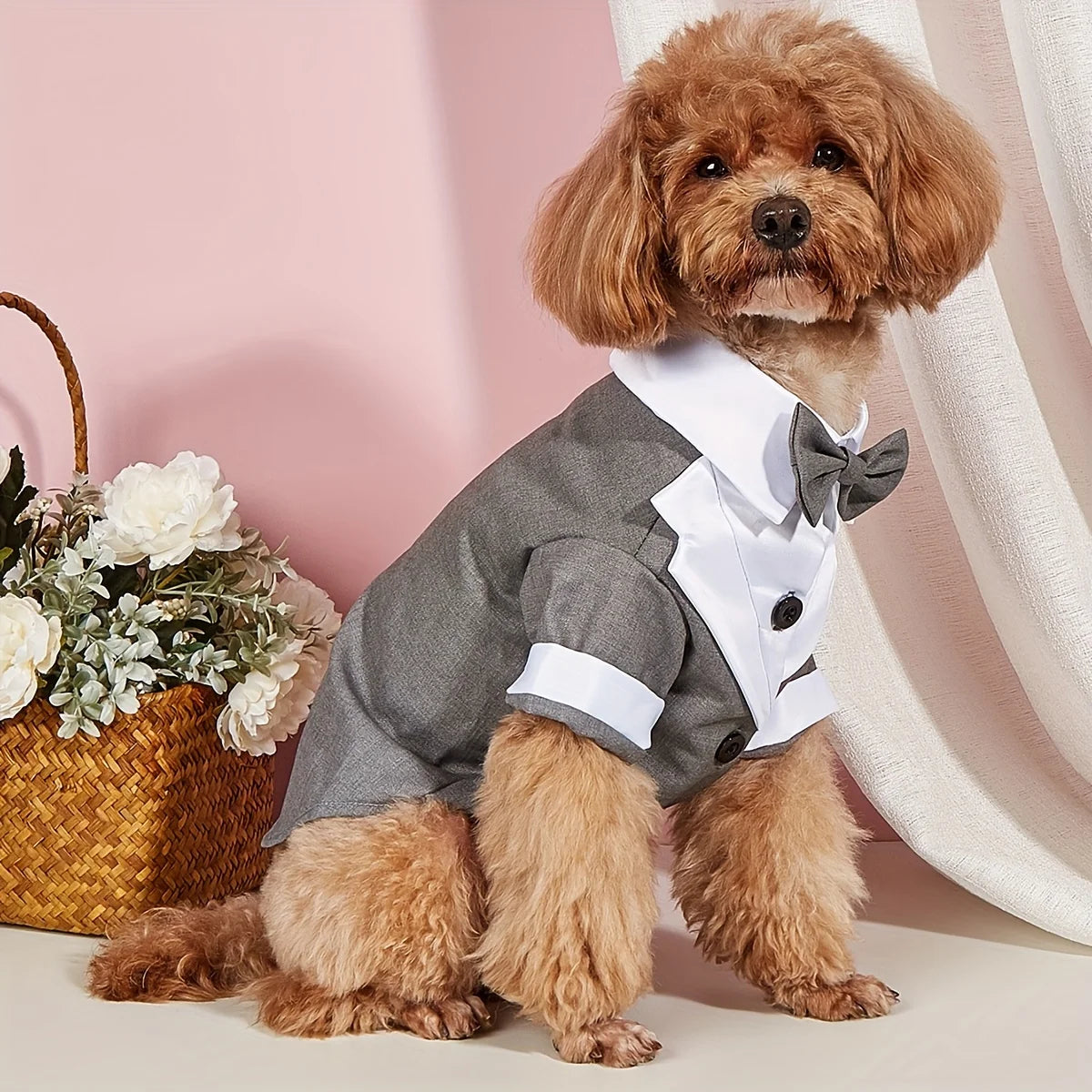 Pet Tuxedo Shirt